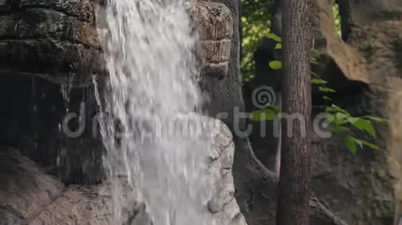 公园里的小瀑布视频的预览图