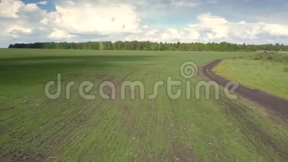 云影穿过广阔的田野飞向遥远的森林视频的预览图