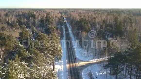 空中运动运动员在冬季森林中沿着公路跑步视频的预览图