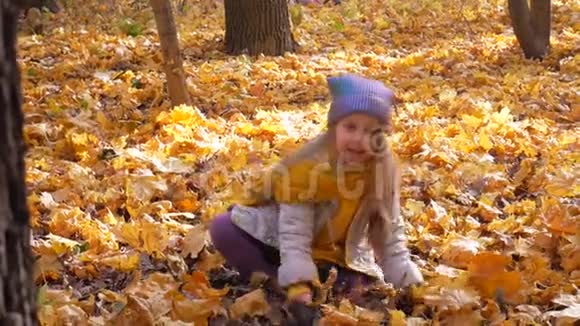秋天小可爱的女孩在公园和树上扔树叶视频的预览图
