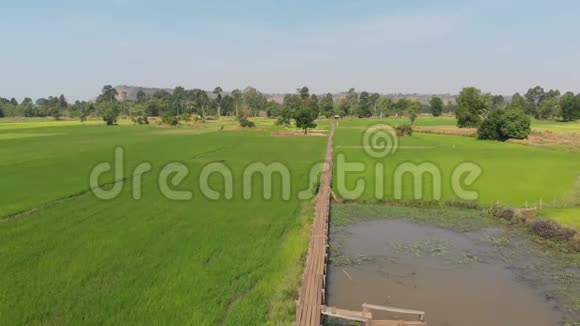 在清新自然的稻田里无人机拍摄复古与老竹桥的鸟瞰风景古老的乡村视频的预览图