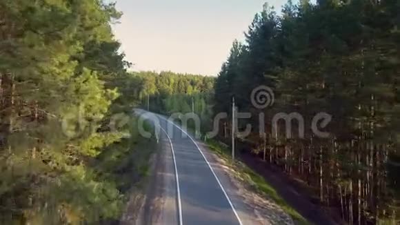 鸟眼飞过高速公路骑着自行车在松树间穿梭视频的预览图
