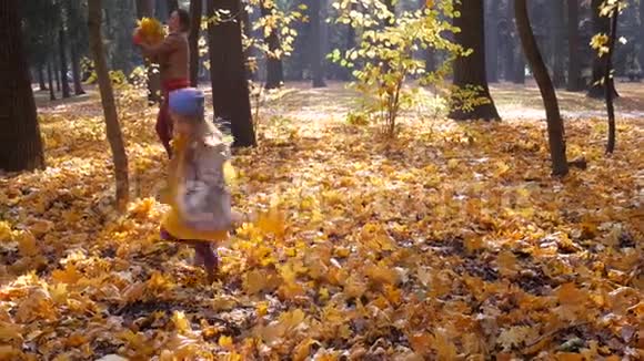 秋天小可爱的女孩在公园和树林里扔或扔树叶视频的预览图