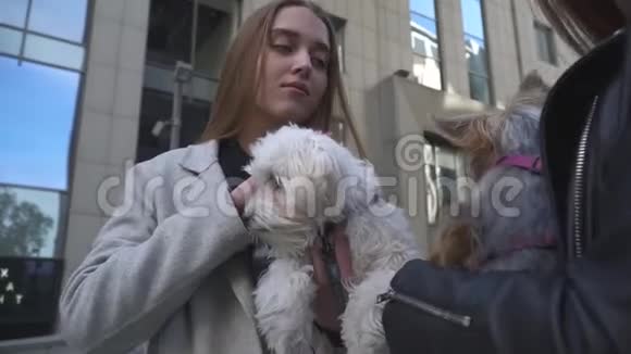 两个年轻的女朋友手里拿着小狗视频的预览图