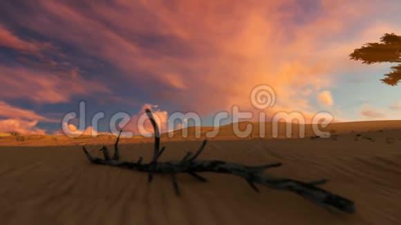 日落时的沙漠绿洲相机飞翔视频的预览图