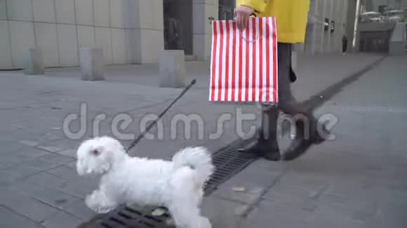 一个女人带着一只小狗走在街上视频的预览图