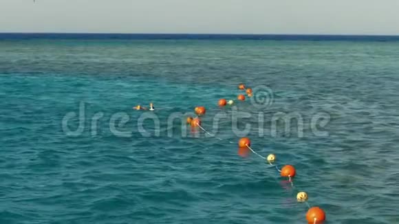 人们在海里浮潜游泳凝视珊瑚礁边的鱼海边的暑假视频的预览图