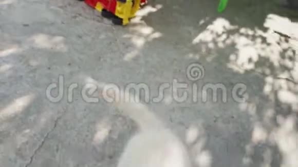 一个男人正在和可爱的小狗玩耍视频的预览图