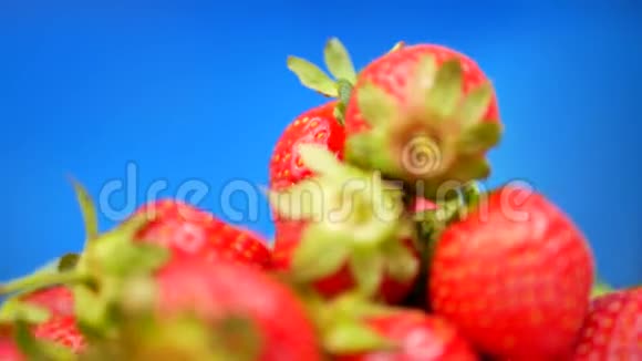 蓝底鲜草莓碗视频的预览图