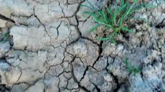 腐烂的干燥的地球表面视频的预览图
