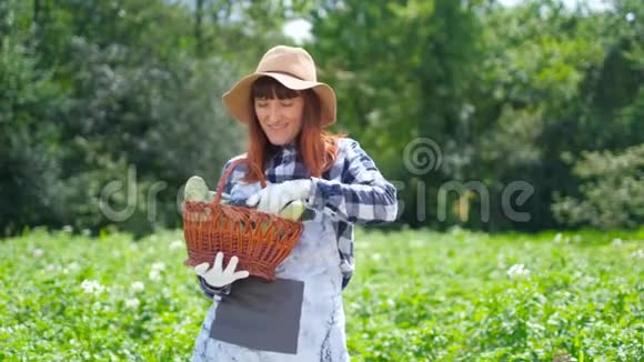 一个女孩在有机种植园收获新鲜南瓜的肖像视频的预览图