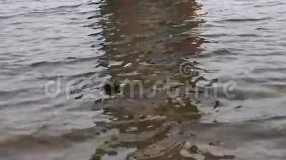 环境污染问题玻璃瓶漂浮在波浪上视频的预览图