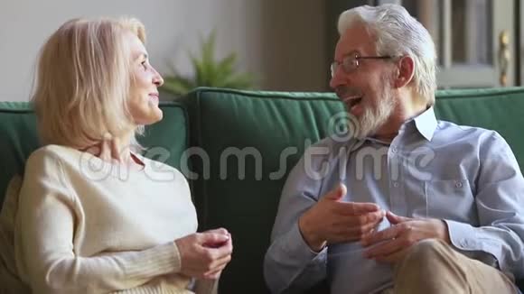 年长夫妇坐在沙发上聊天视频的预览图