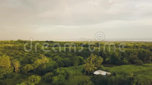 亚细亚村芒果园和水果园上空的无人机带果树的空中景观热带花园视频的预览图