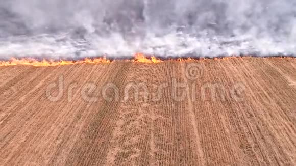 环境灾害焚烧农村田间地头火灾视频的预览图