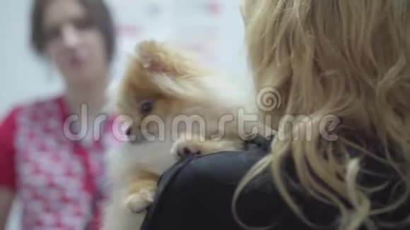 金发女人抱着小狗在兽医诊所关门动物治疗概念视频的预览图