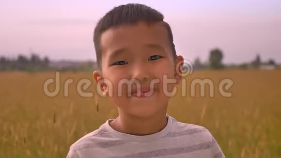 年轻快乐的亚洲孩子在麦田欣赏日落视频的预览图