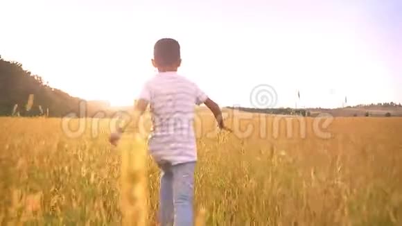 可爱的亚洲小男孩在巨大的麦田里玩耍和奔跑视频的预览图