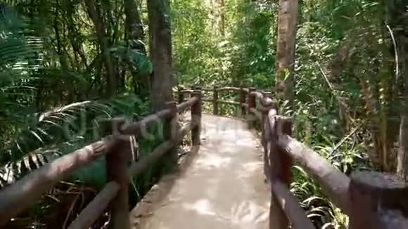 通往热带森林的美丽道路视频的预览图