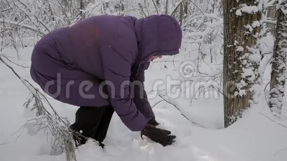 老太太拿起一把新鲜的毛茸茸的雪吹着雪花视频的预览图