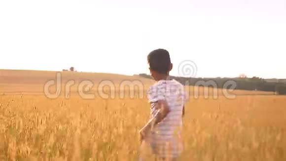 一个可爱的小男孩在高高的草地上奔跑跳跃在麦黄的田野里享受夏天视频的预览图