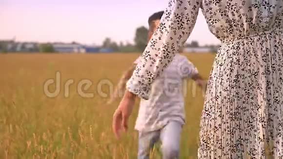 可爱的亚洲男孩在麦田里牵着她的手一步一步地跟着他温柔的母亲视频的预览图