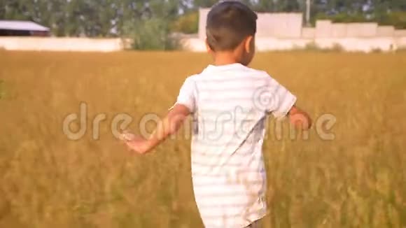 可爱的小亚洲男孩快乐地在夏天的大麦田里奔跑视频的预览图