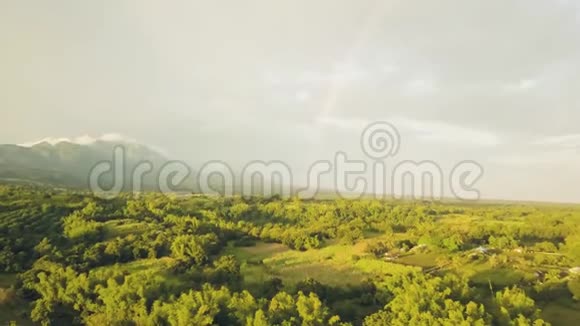 亚洲乡村的空中景观水果园和农业田以山和彩虹为背景美丽美丽视频的预览图