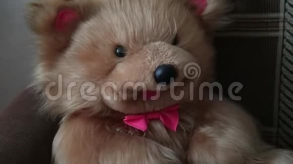 戴着红蝴蝶结的泰迪熊坐在沙发上视频的预览图
