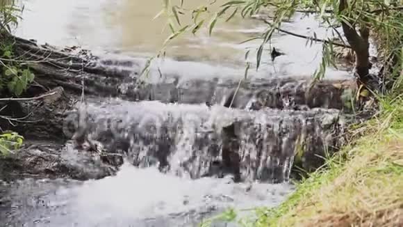 一段近景的小河涌河水流过河堤视频的预览图
