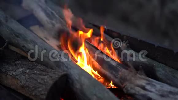 靠近烤架里的火柴火在夏天晚上燃烧视频的预览图