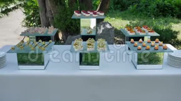 为庆祝活动聚会和婚礼的自助餐在他们的鱼和肉鱼镜的盘子上布置小吃视频的预览图