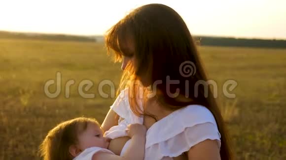 傍晚日落时分宝宝从妈妈的乳房里吸奶视频的预览图