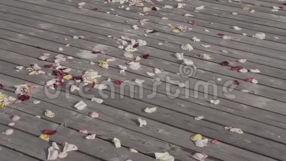 木地板上的玫瑰花瓣结婚纪念日视频的预览图
