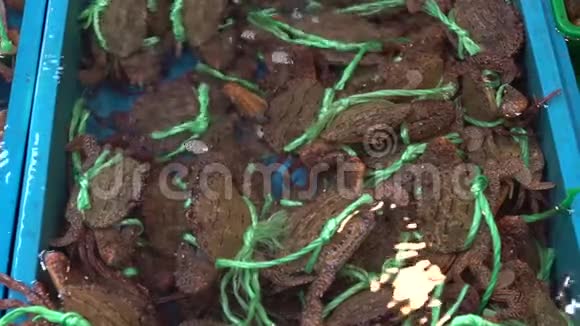 慢行亚洲海鲜市场螃蟹摊台湾卖新鲜食品视频的预览图
