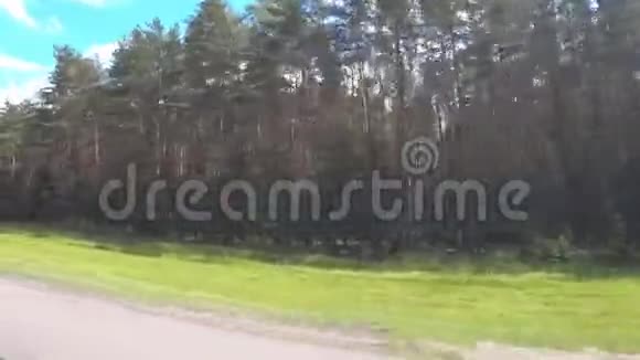 从一辆移动的汽车上看到森林快速运动视频的预览图