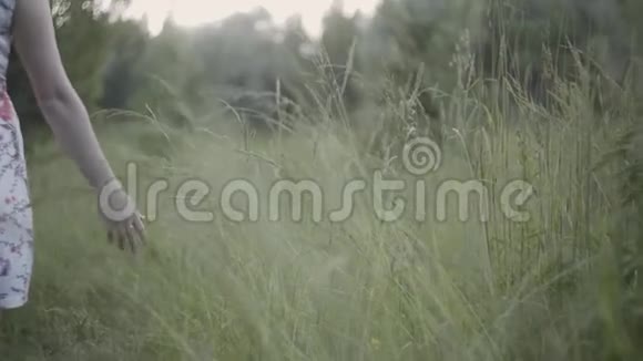 女孩穿着一件长裙在夕阳下带着高大的草地在田野里散步双手触摸草地镜头移动视频的预览图