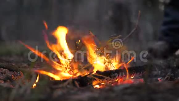 森林里的火灾故意纵火开火在森林里咆哮小心处理火灾视频的预览图