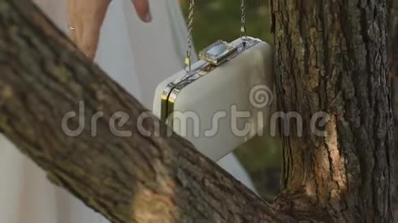 美丽的白色女离合器挂在树上视频的预览图