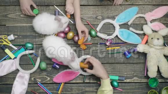 画复活节彩蛋和用胡萝卜喂复活节野兔的手的俯视图幸福的家庭正在准备复活节视频的预览图