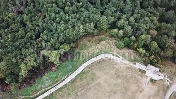 古堡附近森林的俯视图4飞机视频的预览图