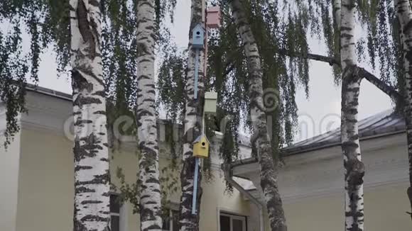 城市夏季公园桦树上的五彩鸟舍视频的预览图