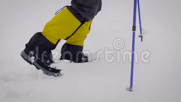 独自一人在雪地里行走视频的预览图