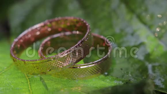 将两个金色结婚戒指戴在一片绿树花叶上用溅起的水滴浇水视频的预览图