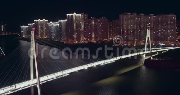 空夜巴甫辛斯基桥与行人视频的预览图
