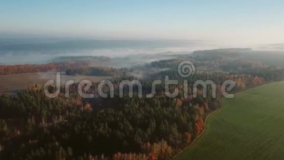 照相机飞过田野和森林远处是地平线上的雾录像片段视频的预览图