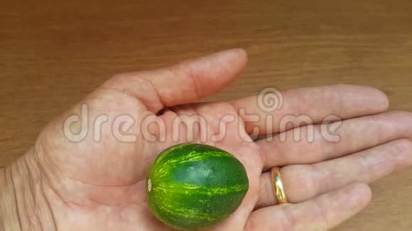 小黄瓜在袖子上但黄瓜与人类手中的小西瓜或地球非常相似视频的预览图