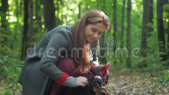 一个蹲在树林里的女人抚摸着两只小狗视频的预览图