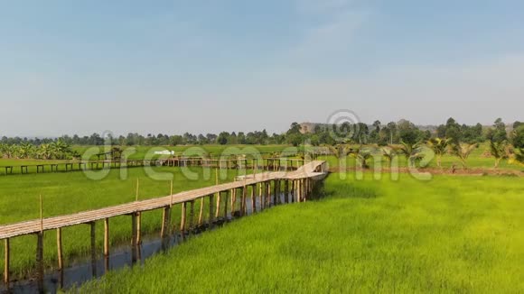 在清新自然的稻田里无人机拍摄复古与老竹桥的鸟瞰风景古老的乡村视频的预览图