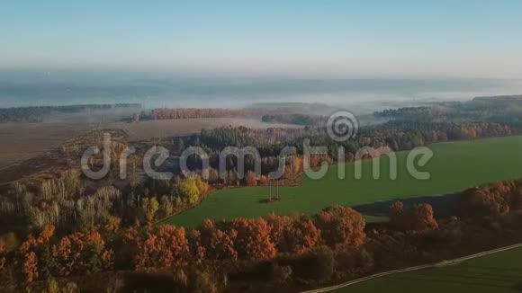 空中照相机飞过田野和森林远处是地平线上的雾录像片段视频的预览图